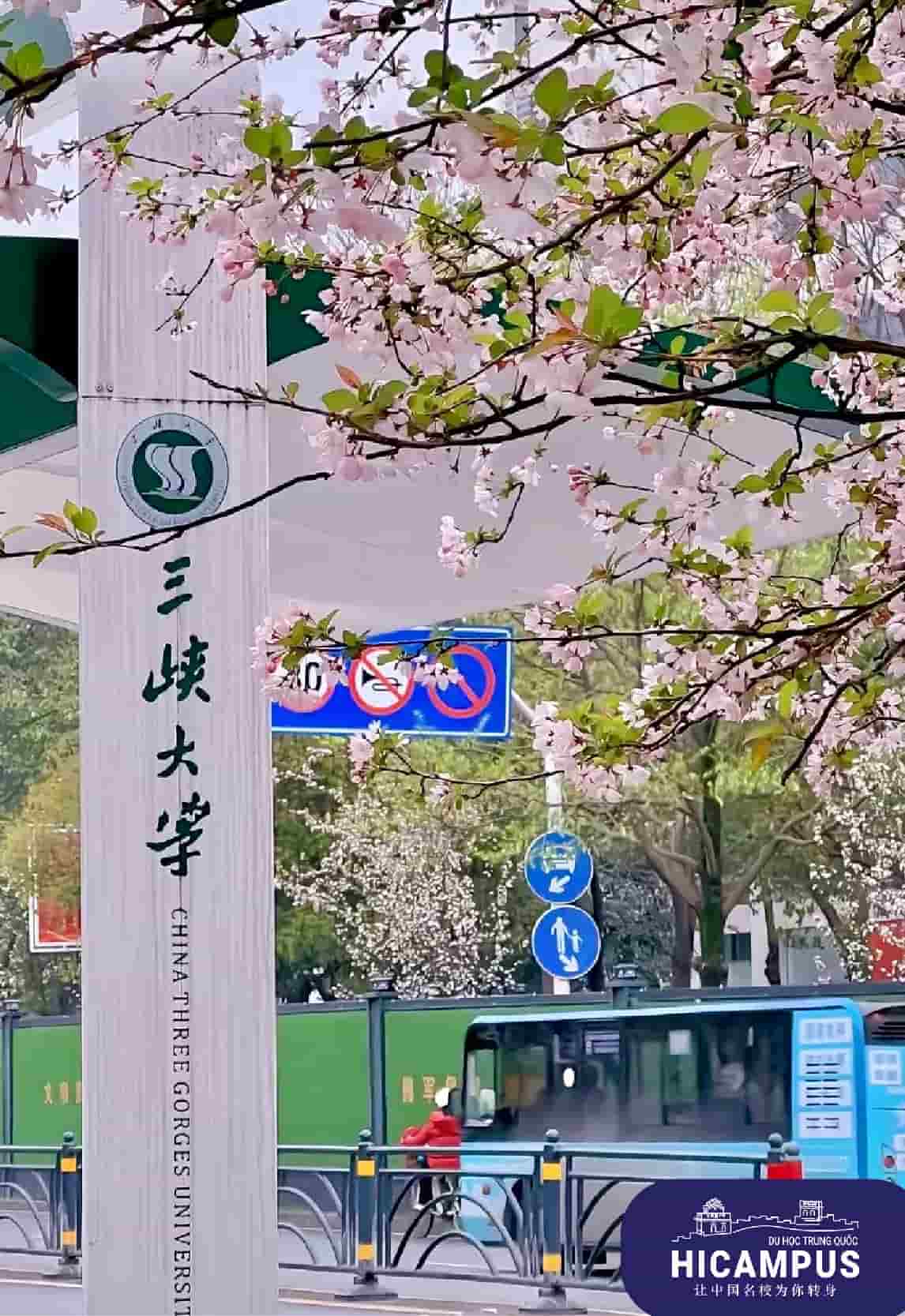 Dai Hoc Tam Hiep Hicampus.vn 