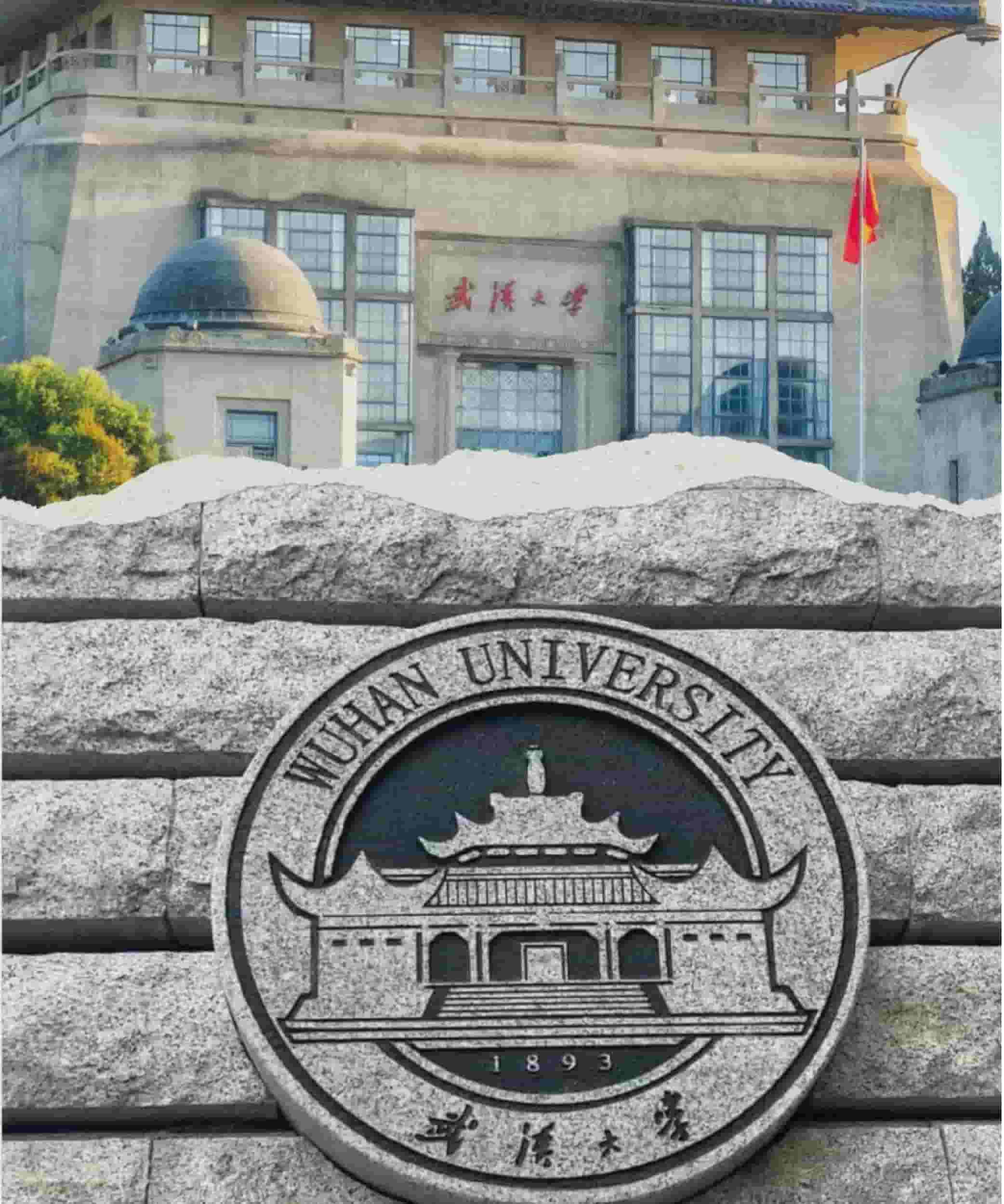 Dai Hoc Vu Han Hicampus Wuhan Daxue