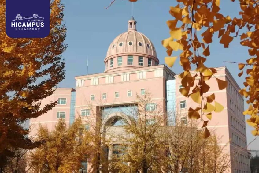 Dai Hoc Su Pham An Son Hicampus.vn  847x565