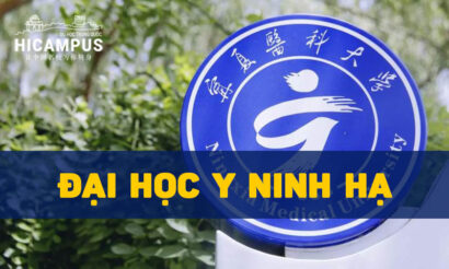 Đại học Y Ninh Hạ