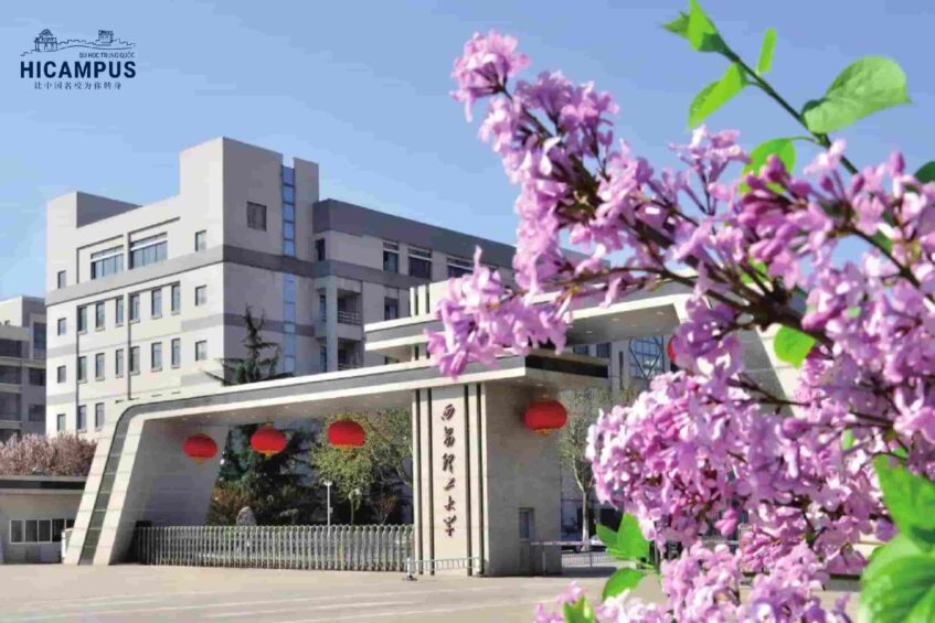 Dai Hoc Cong Nghe Tay An Hicampus 847x565